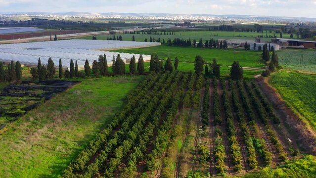filming from a copter flying over the Israeli northern landscape and the kibbutz. High quality 4k footage