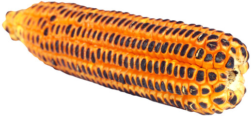 Fried salted corns