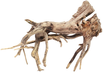 Driftwood