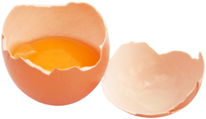 Broken eggs