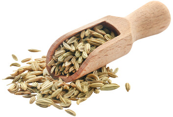 Fennel seeds - 580849529