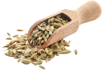 Fennel seeds