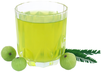 Herbal amla juice with fresh fruits