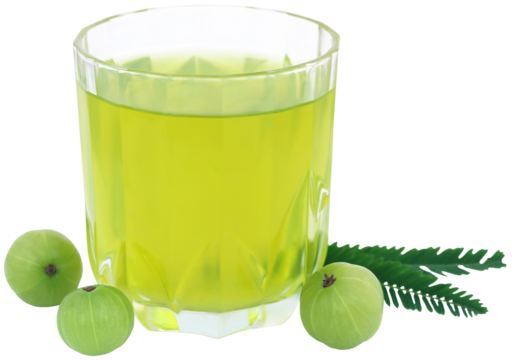 Herbal amla juice with fresh fruits