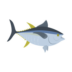Vector illustration of a tuna on a white background. Live fish in flat style.