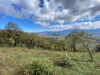 Landscape of a mountainous area with green slopes, trees, spring flowers and a blue sky with white clouds.