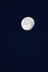 Naklejka na ściany i meble An almost full moon in the early morning sky