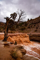 Flash flood at Toquerville Falls, Utah. See this small creek turn into a raging river, due to heavy...