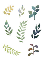 A set of green plants, leaves and flowers on a transparent background. Clipart Watercolor set for scrapbooking and stickers