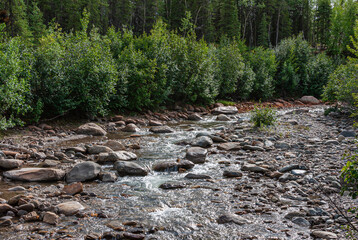 Denali Park, Alaska, USA - July 24, 2011: Nenana River flows fast over rocky boulder bed between green forested shorelines