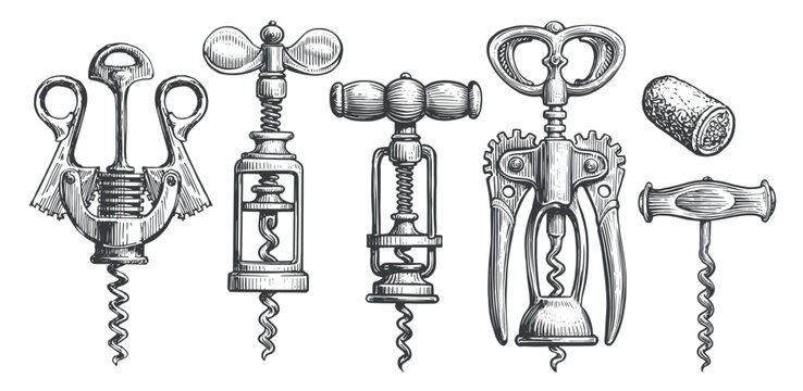 Wine opener and cork. Corkscrew for wine bottle set. Vintage engraved sketch vector illustration