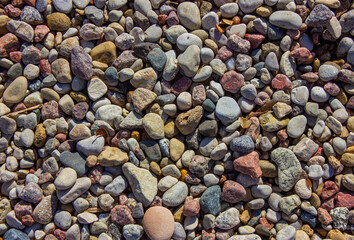 Colorful smooth Rocks background. Little Pebbels Background texture at daylight.
