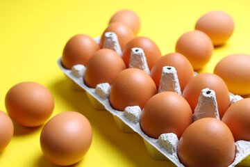 fresh farm chicken eggs on a colored background
