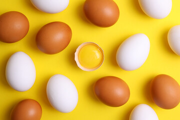fresh farm chicken eggs on a colored background