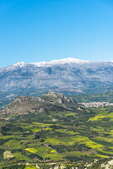Aerial view of rural Archanes region landscape. Unique scenic panorama Olive groves, vineyards, green meadows and mountains view in spring. Heraklion, Crete, Greece