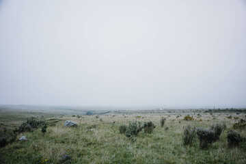 Neblina que oculta