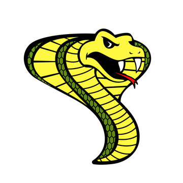 Cobra Angry Snake mascot logo vector illustration clip art