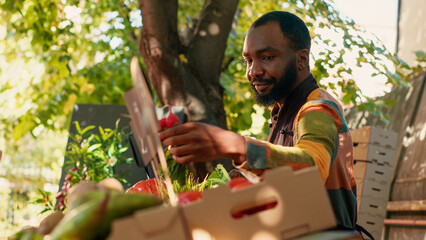 African american farmer selling box of fresh eco products at farmers market counter, giving natural...