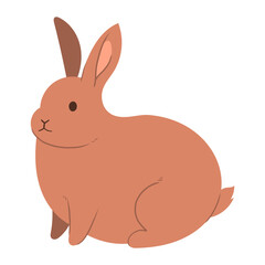 rabbit animal illustration 