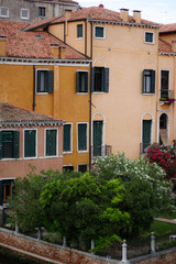 Fototapeta na wymiar Colored houses in the Italian courtyard, green trees