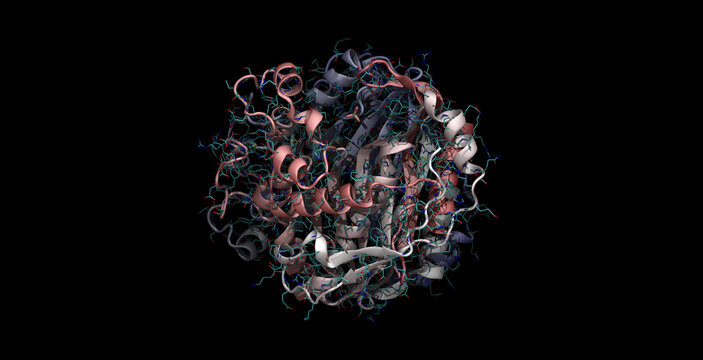 Human thymidylate synthase, anticancer drug target with Raltitrexed drug, 3D molecule in 4K