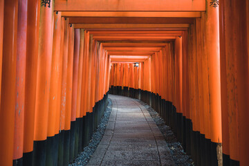 Beautiful Pathway of Red Tori Gates in a Japanese Temple in Kyoto