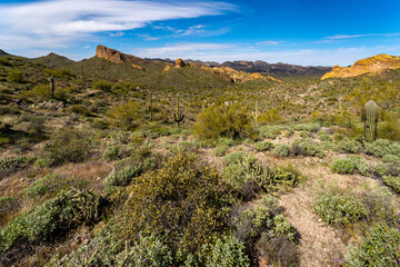 Superstition Mountains in Central Arizona, America, USA.