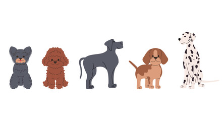 Set of different dogs vector flat illustration. Cartoon characters.
