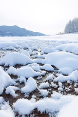 糠平湖のフロストフラワー15