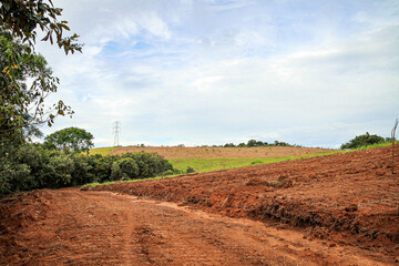 Terra Natureza Trilha Trail Árvore Tree 