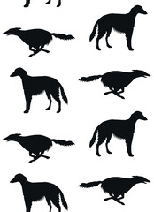 Vector seamless pattern of hand drawn Russian borzoi dog silhouette isolated on white background