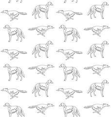 Vector seamless pattern of hand drawn sketch doodle Russian borzoi dog isolated on white background