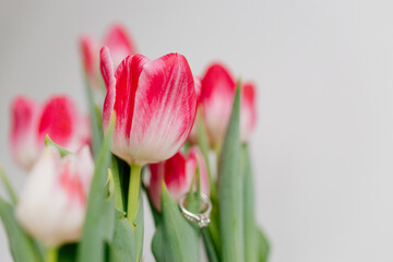 Pink tulips and engagement rings with diamonds on white background. Background for Valentine's Day. Gift for Mother's Day, international Women's Day, March 8th. Spring Mock ups. Space for text