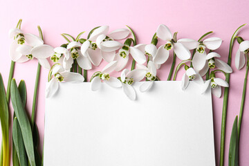 Obraz premium Beautiful snowdrops and paper card on pink background, flat lay. Space for text