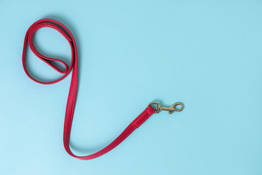 Red leather dog leash on light blue background, top view. Space for text