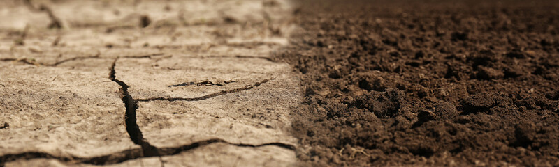 Dry cracked ground and fertile soil, banner design