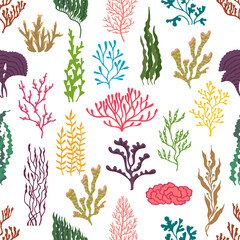 Underwater seaweed plants seamless pattern. Sea and ocean coral reef life vector background. Marine water plants, color algae seaweeds backdrop of kelp or laminaria, gracilaria, anemone and codium © Vector Tradition