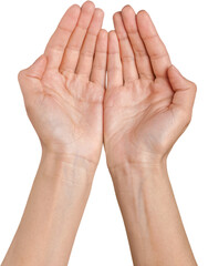 Hands Cupped
