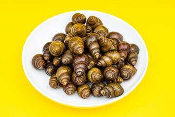 Fresh specialty whelk ingredients