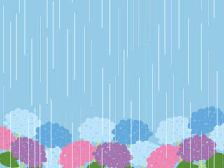 あじさい、雨B2-1