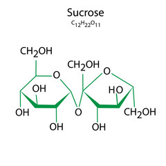 sucrose formula. science concept. Vector illustration.