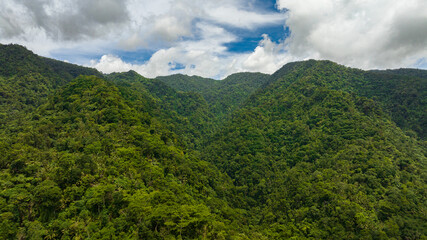 Obraz premium Aerial drone of mountain range and mountain slopes with rainforest. Philippines, Negros island.