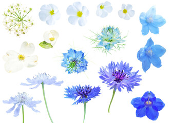 切り抜き透過素材セットー青と白の花