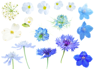 切り抜き透過素材セットー青と白の花