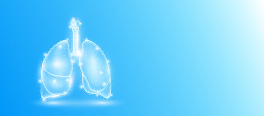 Human lung anatomy form line triangles connecting on blue background. Futuristic glowing organ hologram translucent white and copy space for text. Medical anatomical concept. Modern design vector.