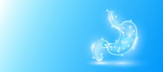Human stomach anatomy form line triangles connecting on blue background. Futuristic glowing organ hologram translucent white and copy space for text. Medical anatomical concept. Modern design vector.