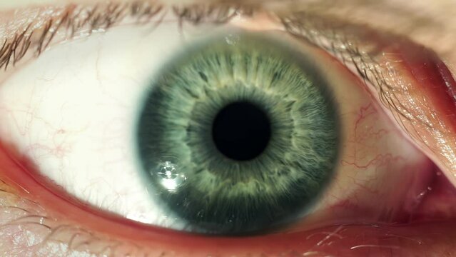 Macro footage of blue iris reacting to light, showcasing intricate details of the pupil's dilation and contraction