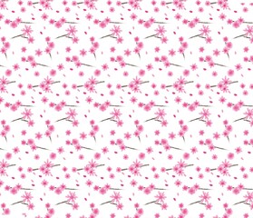 sakura / cherry blossom seamless pattern