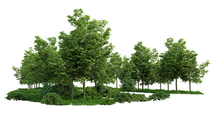green trees, beautiful small grove with grass and shrubs, isolated on transparent background - 580897742