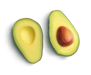 Fresh cut avocado. Vector illustration.